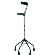 Canadiana Quadripé P6